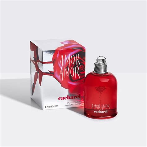 amor perfume superdrug.